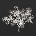 Arbor Showcasing White Branches And Clear Detailed Structure Against Dark Background 3d model