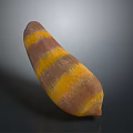 Fresh Whole Striped Sweet Potato with Yellow and Brown Stripes Organic Vegetable on Dark Background