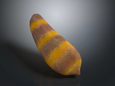 Fresh Whole Striped Sweet Potato with Yellow and Brown Stripes Organic Vegetable on Dark Background 3d model
