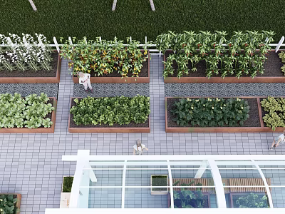 Modern Vegetable Garden One-meter Vegetable Garden Cabbage Vegetable Combination 3d model