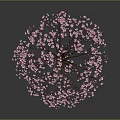 Beautiful Tree Adorned With Pink Blossoms Against Dark Background With Reflection
