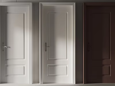 Three Modern Hinged Doors in White and Dark Brown with Simple Panel Design 3d model