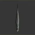 Fresh Silver Fish With Prominent Fins And Eyes On Dark Reflective Surface
