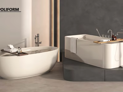 Modern Bathroom With Stylish Bathtubs And Accessories 3d model