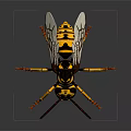 Detailed Yellow Black Flying Insect 3D Model With Transparent Wings Long Legs And Segmented Body