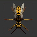 Modern Bee Ma Feng Wasp 3d model