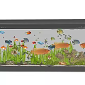 Stunning Aquarium With Various Colorful Fish Aquatic Plants And Decorative Rocks