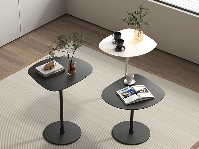 Minimalist Modern Side Tables With Black And White Metal Base Holding Plants Books And Cups 3d model