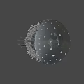 Transparent Jellyfish With White Spots And Long Tentacles On Black Background