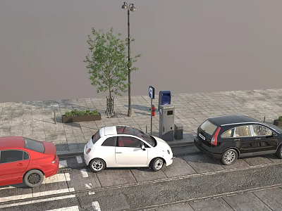 Public Facilities On Urban Street With Street Lamp Trash Bin Parking Sign And Parked Cars 3d model