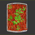 Fresh Red Crayfish Topped with Green Parsley Served on White Rectangular Tray 3d model