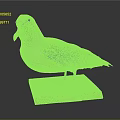 Standing Gray White Black Seabird Taxidermy With Red Base And Label On