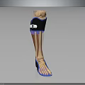 Anatomical Leg Organ Structure with Hair and Black Protective Gear Blue Trim