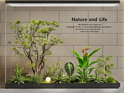 Nature and Life Themed Indoor Landscape With Green Plants Trees And Glowing Spherical Light 3d model