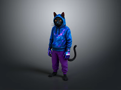 Character Wearing Cat Ear Hat With Starry Blue Hoodie And Purple Pants Tail 3d model