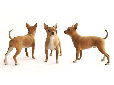 Three Brown Reptiles Standing On White Background In Different Poses 3d model