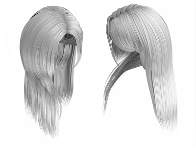 Silver White Long Straight Hair 3D Model Featuring Braided Details from Two Angles 3d model