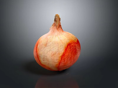 Fresh Red Onion With Red And White Skin On Gray Background Close Up View 3d model