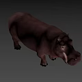 Realistic Hippopotamus 3D Character Model for Game and Film Projects