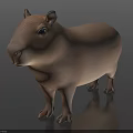 Realistic Light Brown Capybara 3D Model Standing On Dark Background