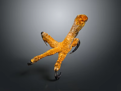 Close Up View Of Yellow Chicken Foot With Textured Skin And Sharp Claws 3d model
