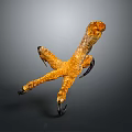 Close Up View Of Yellow Chicken Foot With Textured Skin And Sharp Claws