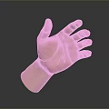 Realistic Anatomical Human Hand With Open Palm Fingers And Visible Hair Strands
