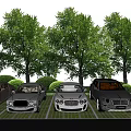 Luxury Cars Parked On Green Grid Patterned Ground With Trees In Background