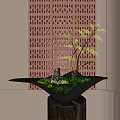 Bonsai Plant in Black Pot with Moss Stone and Red Lattice Screen Background