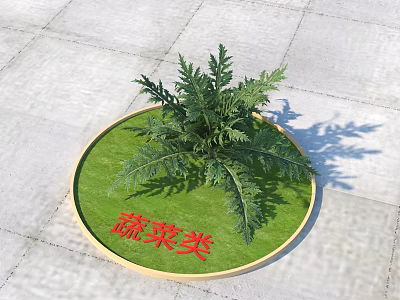 Fresh Vegetable Plant Growing In Circular Green Garden Patch With Healthy Leaves 3d model