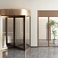 Brass Frame Revolving Door And Glass Double Door With Green Plant In Modern Interior
