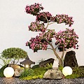 New Chinese Courtyard Sits Modeling Rhododendron Stone Micro Terrain 3d model