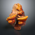 Fresh Organic Ganoderma Mushroom With Natural Shape And Vibrant Colors