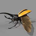 Realistic Black and Yellow Beetle with Large Antennae and Open Wings