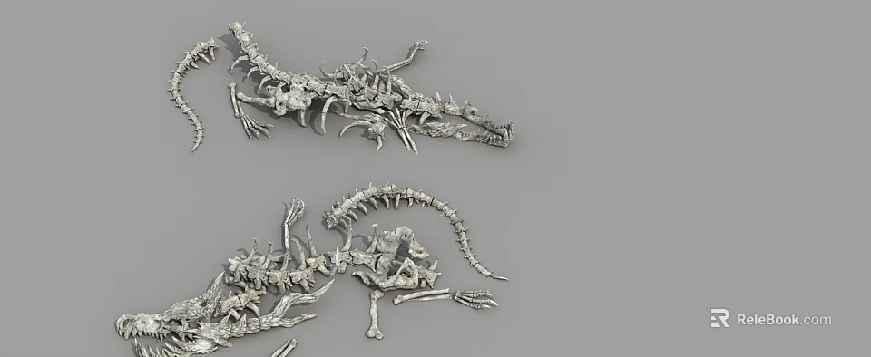 Two Reptilian Skeleton Models Featuring Crocodile And Dinosaur Bone Structures 3d model 