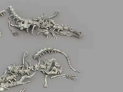 Two Reptilian Skeleton Models Featuring Crocodile And Dinosaur Bone Structures 3d model