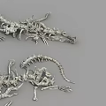 Two Reptilian Skeleton Models Featuring Crocodile And Dinosaur Bone Structures