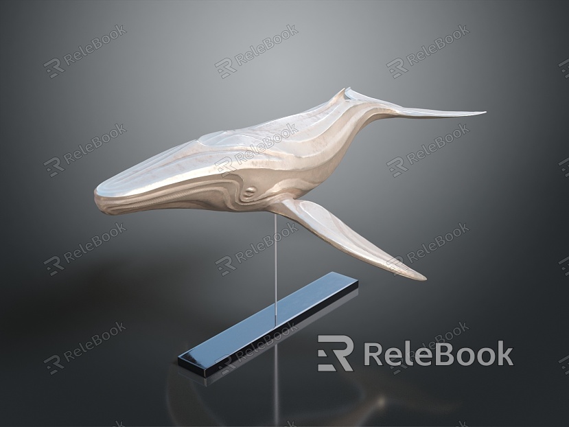 whale cartoon whale mammal marine mammal marine animal fish freshwater fish marine fish model