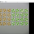 Wall Design with Four Patterned Tiles in Different Colors Blue Green Red Yellow