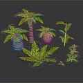 Various Decorative Plants Including Palm Trees Ferns And Small Greenery In Woven Pots