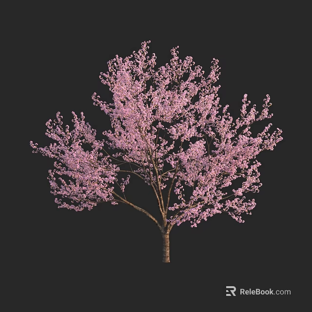 Stunning Arbor With Pink Blooming Flowers And Branches Against Dark Background 3d model 
