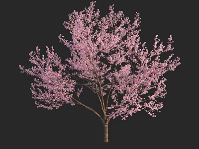 Stunning Arbor With Pink Blooming Flowers And Branches Against Dark Background 3d model