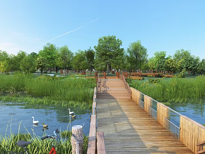 Scenic Natural Landscape With Wooden Boardwalk Swans Green Trees And Blue Sky Over Calm Water 3d model