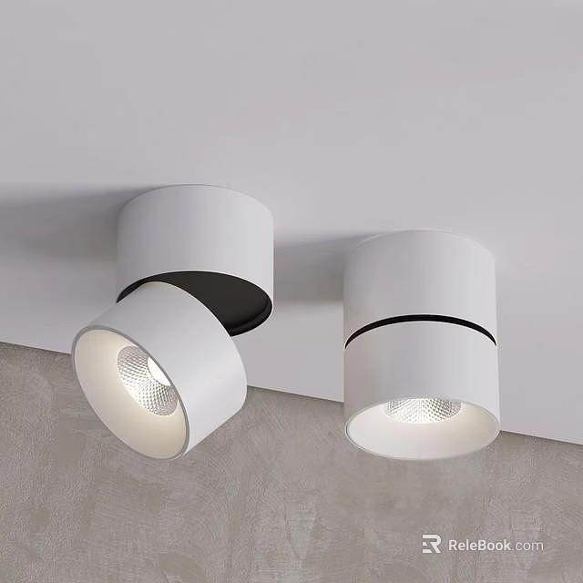White Modern Ceiling Downlights And Spotlights With Adjustable Design For Indoor Lighting 3d model 