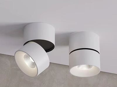 White Modern Ceiling Downlights And Spotlights With Adjustable Design For Indoor Lighting 3d model
