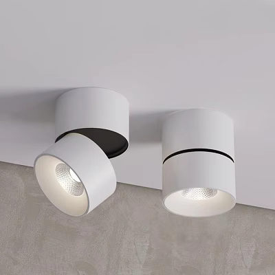 White Modern Ceiling Downlights And Spotlights With Adjustable Design For Indoor Lighting 3d model