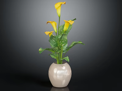 Beautiful Yellow Calla Lilies with Green Leaves in White Vase Decorative Fresh Plant Arrangement 3d model
