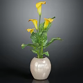 Beautiful Yellow Calla Lilies with Green Leaves in White Vase Decorative Fresh Plant Arrangement