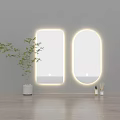 Rectangular And Oval Wall Mounted Mirrors In Modern Interior With Green Plant Decor 3d model