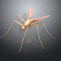 Golden Mosquito With Long Legs And Detailed Wings Displayed On Dark Background 3d model
